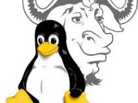 SI – Consola Linux&nbsp;(I)